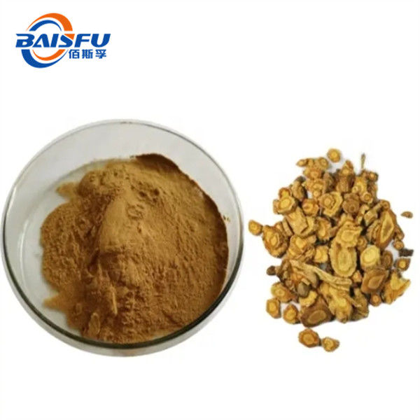 Powder Form Divaricate Saposhnikovia Root Ideal for Anti-Inflammatory Drugs and Health Products