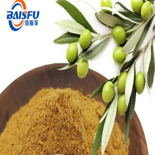 Natural Olive Leaf Extract Canarium Album Raeusch Oleuropein 98%