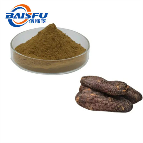 Characteristic Flavour Powdered Cistanche Deserticola P.E. for Pharmaceutical Industry