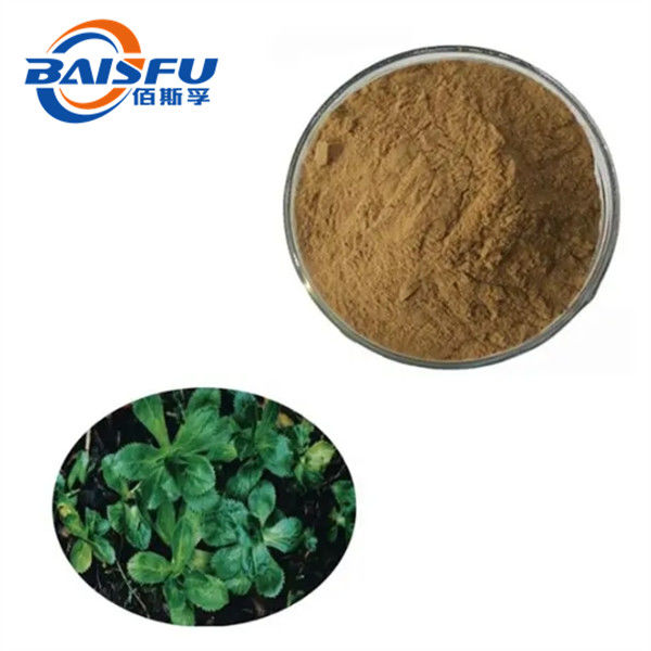 Malaysia's Rhizoma Picrorhizae P.E. 100% Natural Plant Extracts Free Samples CAS 633-65-8