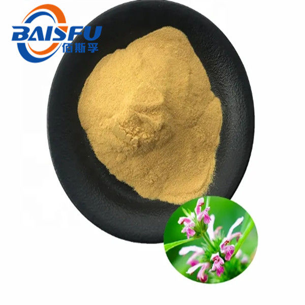 Motherwort Herb P.E. Pure Plant Extract with Characteristic Flavour and 100% Natural Ingredients