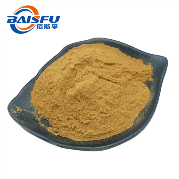 Motherwort Herb P.E. Pure Plant Extract with Characteristic Flavour and 100% Natural Ingredients