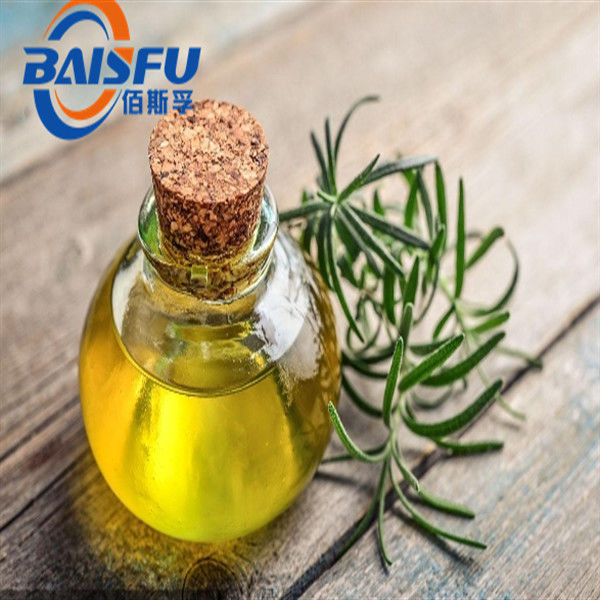 Food Grade Rosemary Oil Taima CAS 8000-25-7