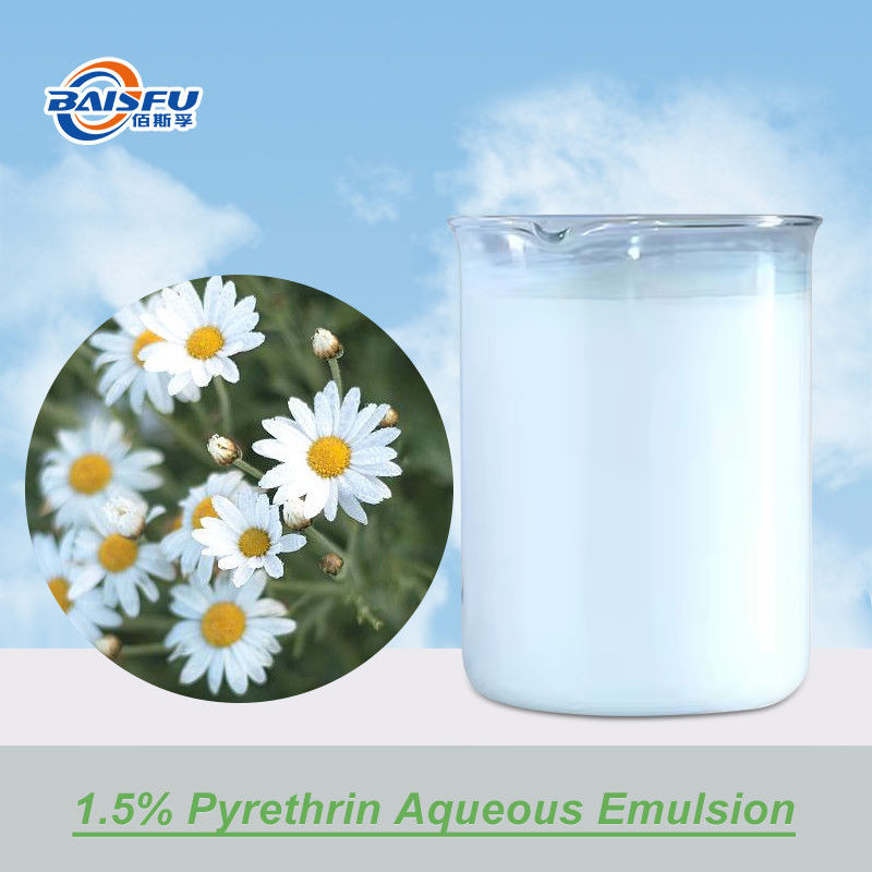 Safe Organic Natural Extract 25% Pyrethrum Liquid Used Toilet Water Mosquito Coils To Eradicate Aphids Cotton