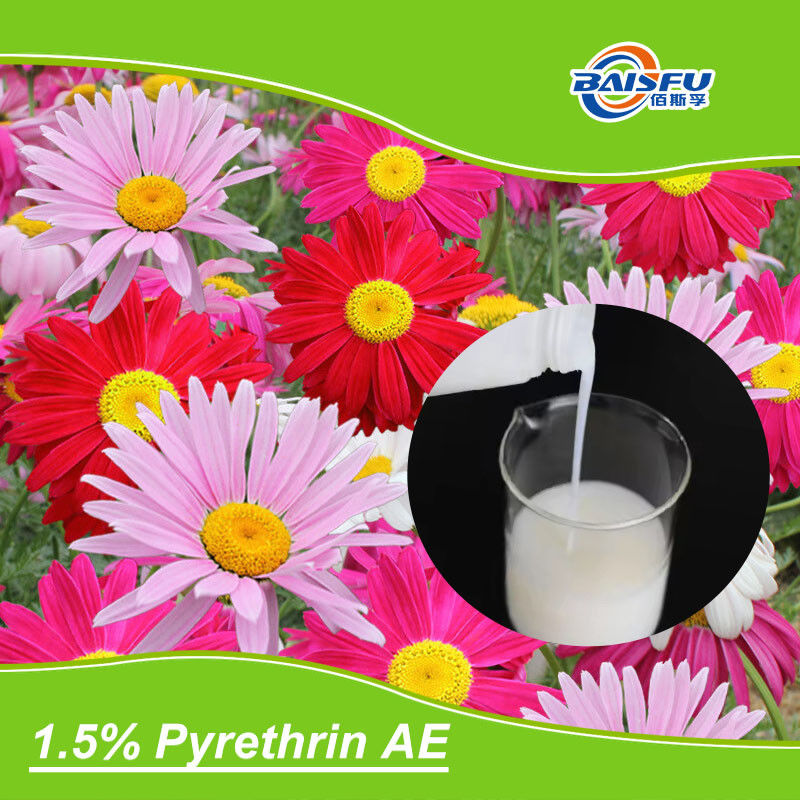 25% Pyrethrum Liquid CAS 8003-34-7 Safe Organic Natural Extract Insecticides In Large Stock