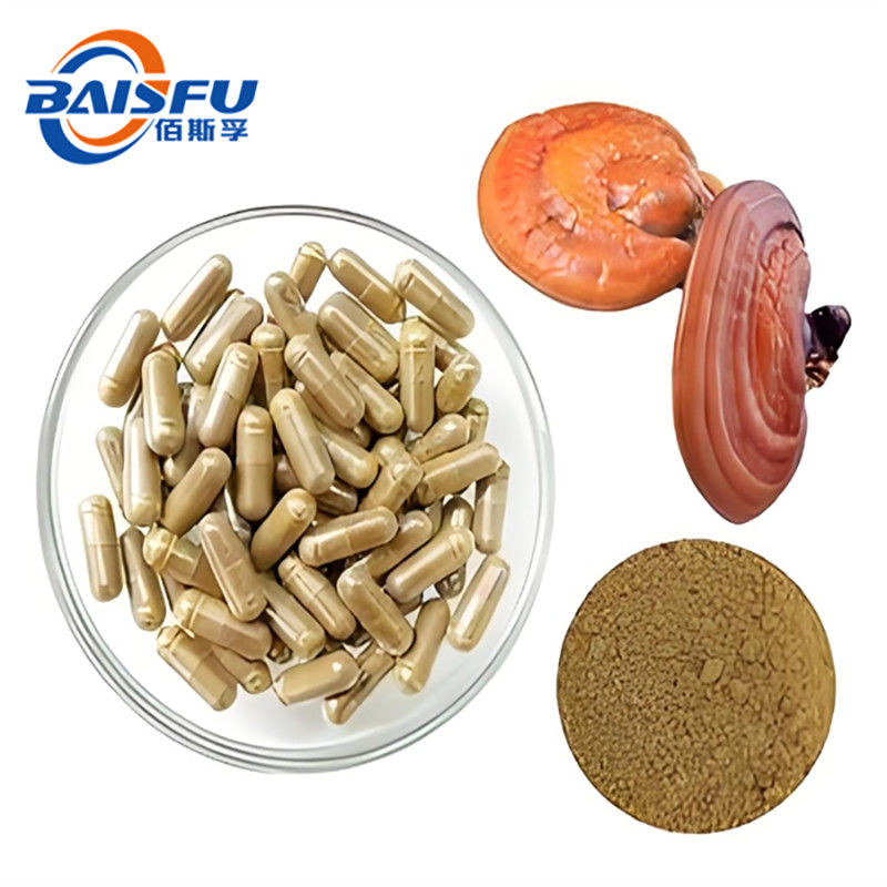 Chemical Synthesis Produced Organic Mushroom Complex Capsules For Immunity