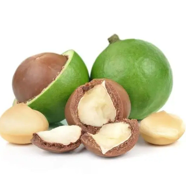 Halal Certified Factory Highly Concentrated Macadamia Flavour For Nut Popcorn Chocolate Biscuits Snacks Cooking Ice Cream Cake