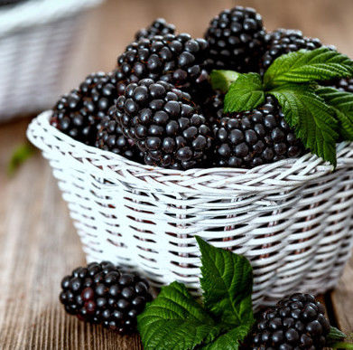 Large Supply Blackberry Flavor Drinks Food Additives Aroma Scent Flavoring