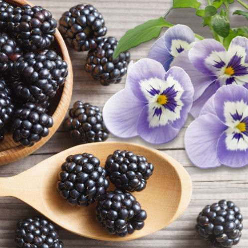 Large Supply Blackberry Flavor Drinks Food Additives Aroma Scent Flavoring