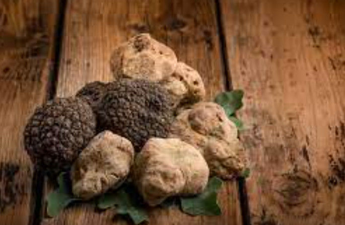 1kg-5kg Samples Testing For Black Truffle Extract Aroma 100% Black Truffle Flavor Essence Flavor And Fragrance