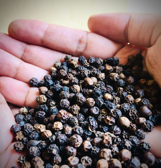 Baisfu Black Pepper Flavor Food Condiments Spices Non Oil Based 99% Natural Sun Dried Food Flavoring Black Pepper Flavors