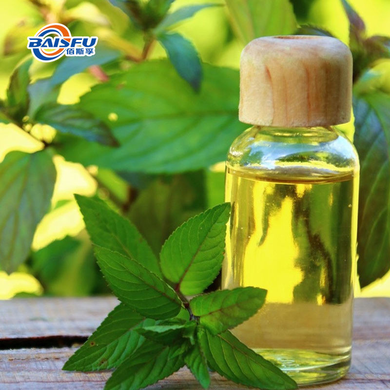 Refresh Your Mind with Natural Fruit Flavoring Mint Flavor Chewing Gum for Improved Focus