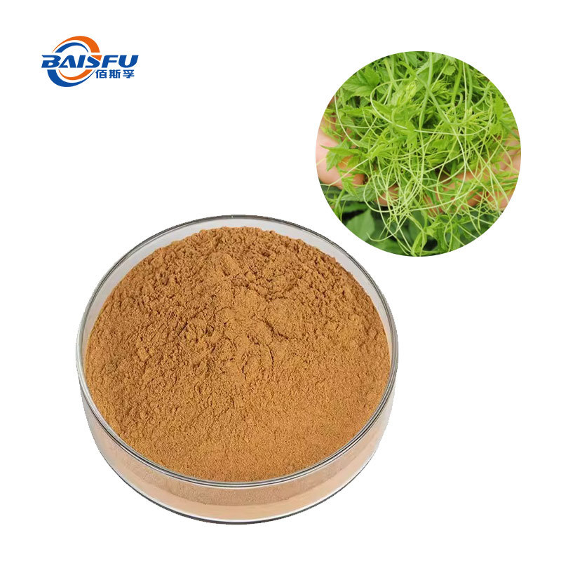 Gynostemma Pentaphylla Jiaogulan Tea / Powder with 100% Natural Ingredients and 98% Spec