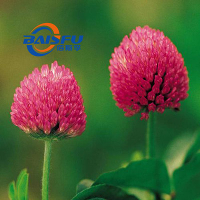 Hot Selling Plant Extract Formononetin Powder In Red Clover Extract CAS No.: 485-72-3