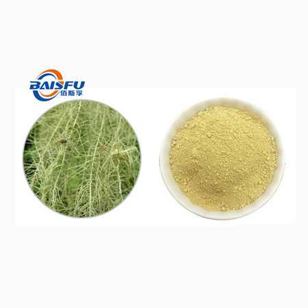 Usnic Acid In Powder Form For Antibacterial And Dental Care CAS 125-46-2