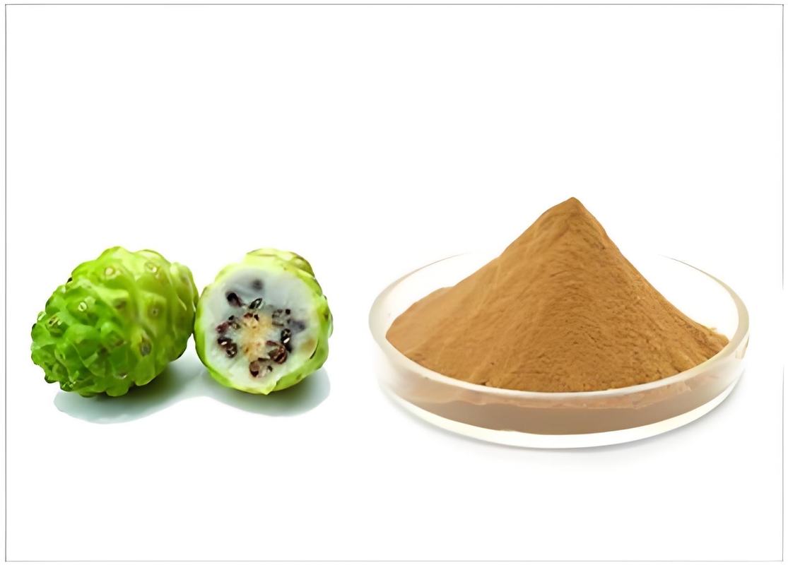 Premium Noni Powder Superfruit Extract For Wellness & Nutrition Functional Applications With Delicious Flavor & Aroma