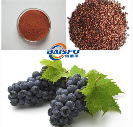 Shaanxi Baisfu herbal plant extract  Antioxidants Grape Seed Extract Oligomeric Proantho Cyanidins CAS No.: 84929-27-1