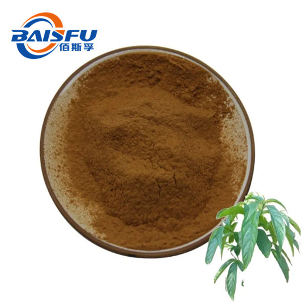 Baisfu Plant Extract  Brown fine powder glossy privet fruit extract CAS No.: 77-52-1 Get Your Favorite Here With Low MOQ