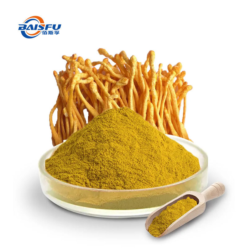 baisfu Brown yellow fine powder Hot Sale Russia Top Quality Cordyceps Militaris Powder CAS No.: 73-03-0