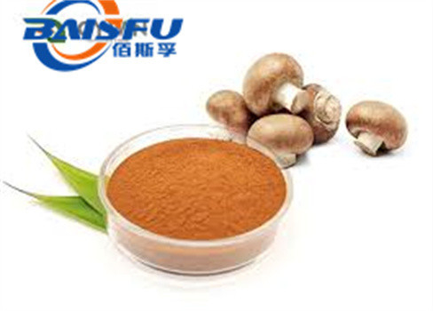 Shaanxi Baisfu herbal plant extract Yellow Brown Powder Polysaccharides Cordyceps Tochukaso Extract Powder Food Grade