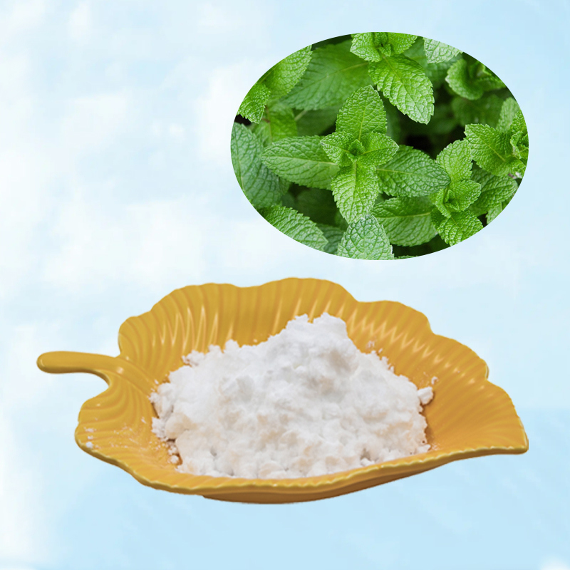 Baisfu Plant extract powderMentha haplocalyx Brip Peppermint Extract Selling Well In Europe And America Market used in food and beverage