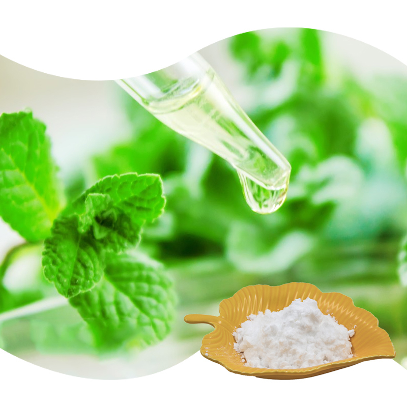 Baisfu Plant extract powderMentha haplocalyx Brip Peppermint Extract Selling Well In Europe And America Market used in food and beverage