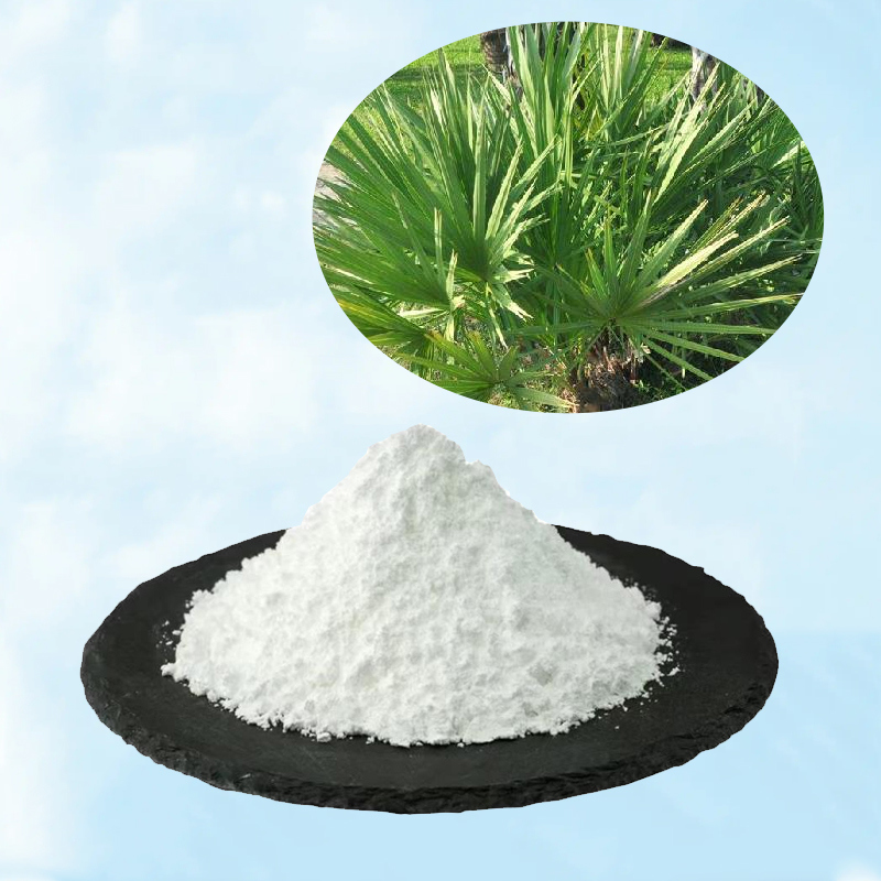 Top Quality Saw Palmetto Extract Powder Saw Palmetto P.E. 98% Spec Saw Palmetto Fruit Extract with 25%-45% Fatty Acid and Solubility in Methanol  Saw Palmetto Extract CAS 84604-15-9 for food