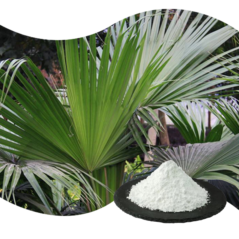 Top Quality Saw Palmetto Extract Powder Saw Palmetto P.E. 98% Spec Saw Palmetto Fruit Extract with 25%-45% Fatty Acid and Solubility in Methanol  Saw Palmetto Extract CAS 84604-15-9 for food