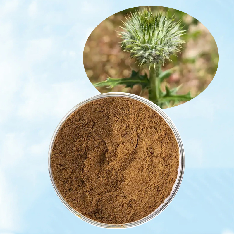 Baisfu plant extract Brown powder AmericanTribulus Terrestris P.E total saponins content 20%-90% used in food additives