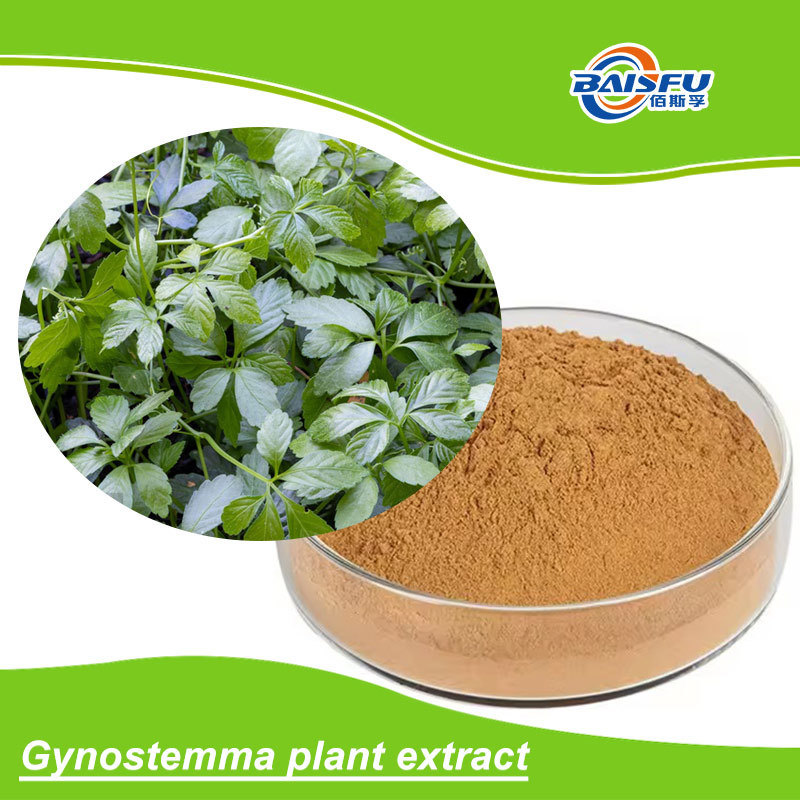 Gynostemma Pentaphyllum Plant Extract CAS 15588-68-8 Natural Herbal Supplement for Dietary and Cosmetic Formulations
