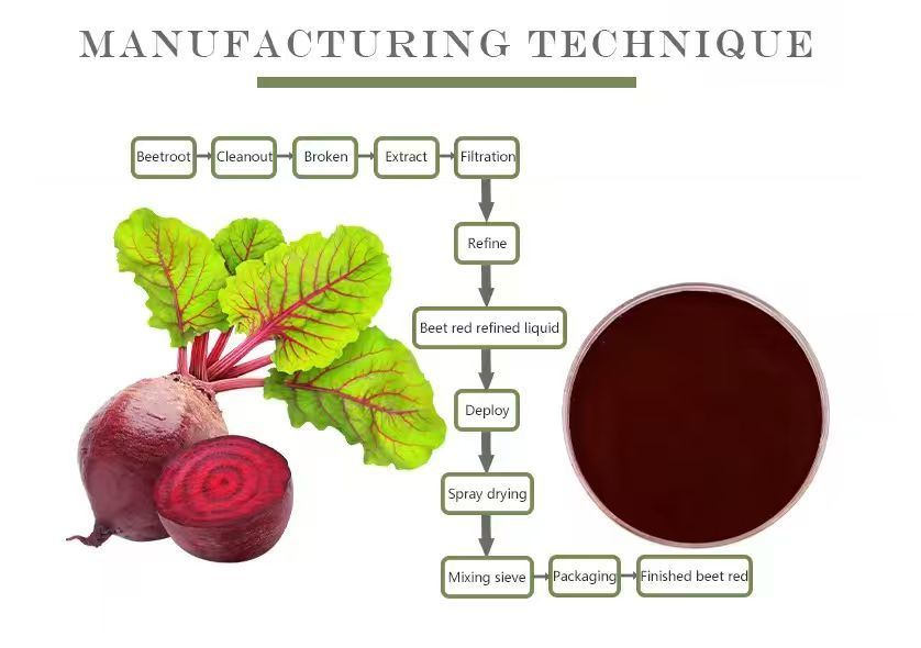 Organic Beetroot Powder | High Purity Superfood | Rich in Iron & Antioxidants for Energy & Health