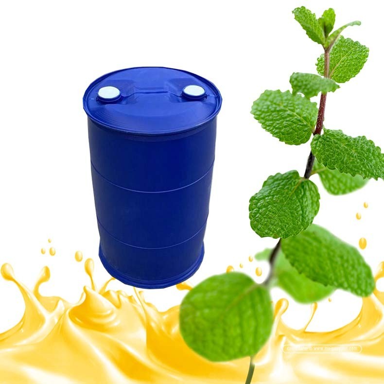 Refreshing Pure Peppermint Oil for Aromatherapy, CAS 8006-90-4 Plant Essential Oil