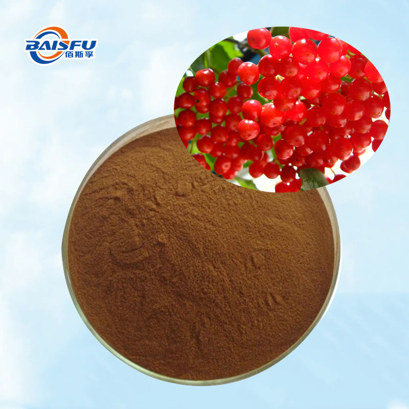 Baisfu Natural Schisandra chinensis.P.E CAS 84687-43-4 best Quality Brown Fine Powder Lignans For Functional Food and cosmetic