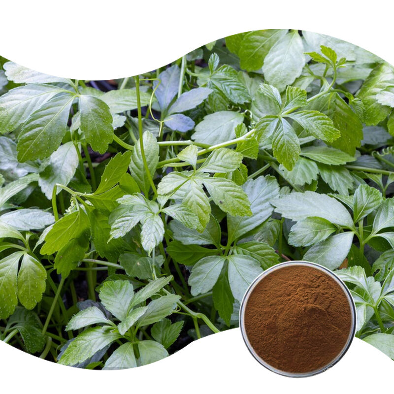 Baisfu Factory Wholesale Gynostemma Pentaphyllum Extract Brown Yellow Fine Powder Ginsenosides for Health Supplements and Natural Additive