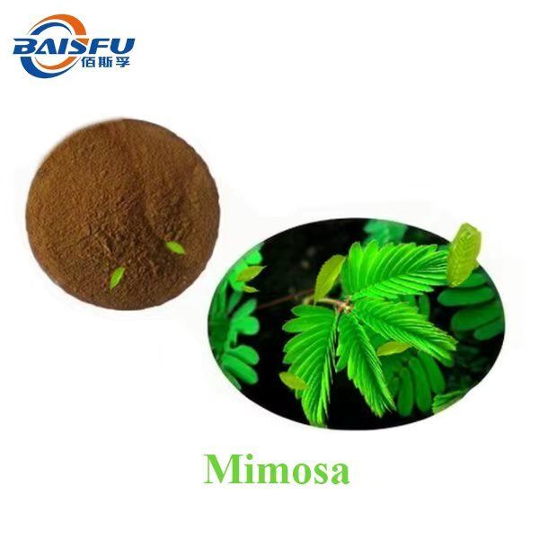 Baisfu Factory Sales Mimosa Extract Powder Brown Yellow Fine Powder for Health Supplements and Medicine