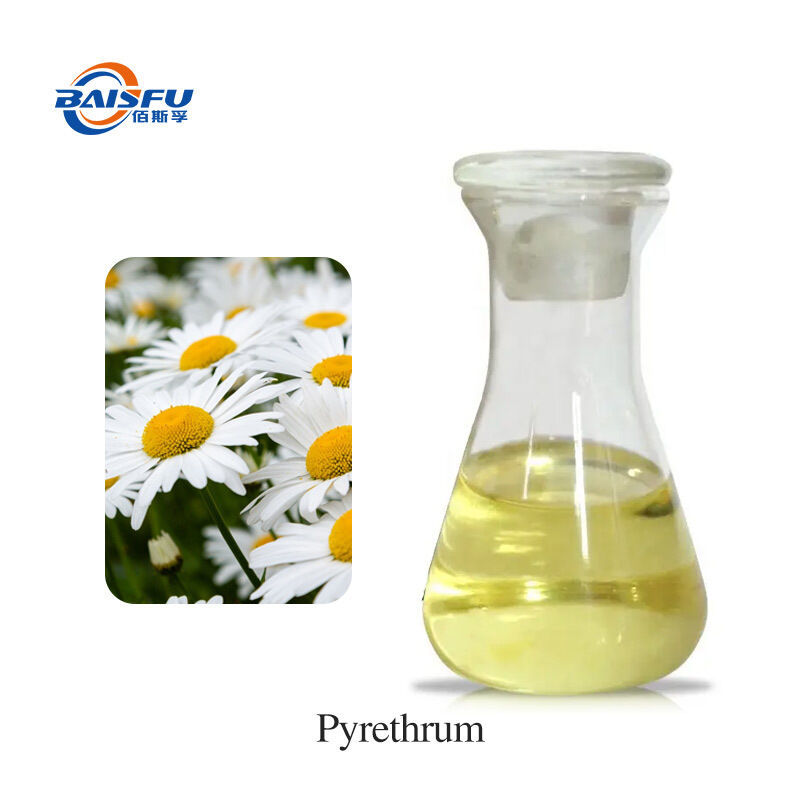 Baisifu Professional Supply Pyrethrum Extract Pyrethrum Water-Soluble Pyrethrins 25% Cas 8003-34-7 Yellow Liquid For Biocide 