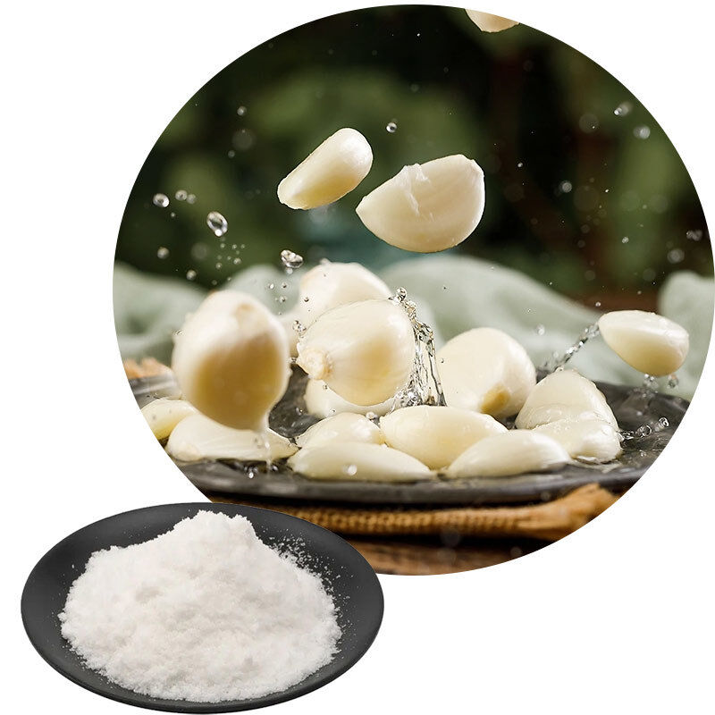Salty Flavor Natural Garlic Powder Food Grade Seasoning Suitable for Various Culinary and Food Production Uses