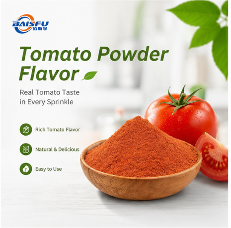 Premium High Quality Tomato Powder Flavor for Extruded Snack Seasoning Potato Chip Coating Popcorn Dusting and Savory Puff Sprinkle