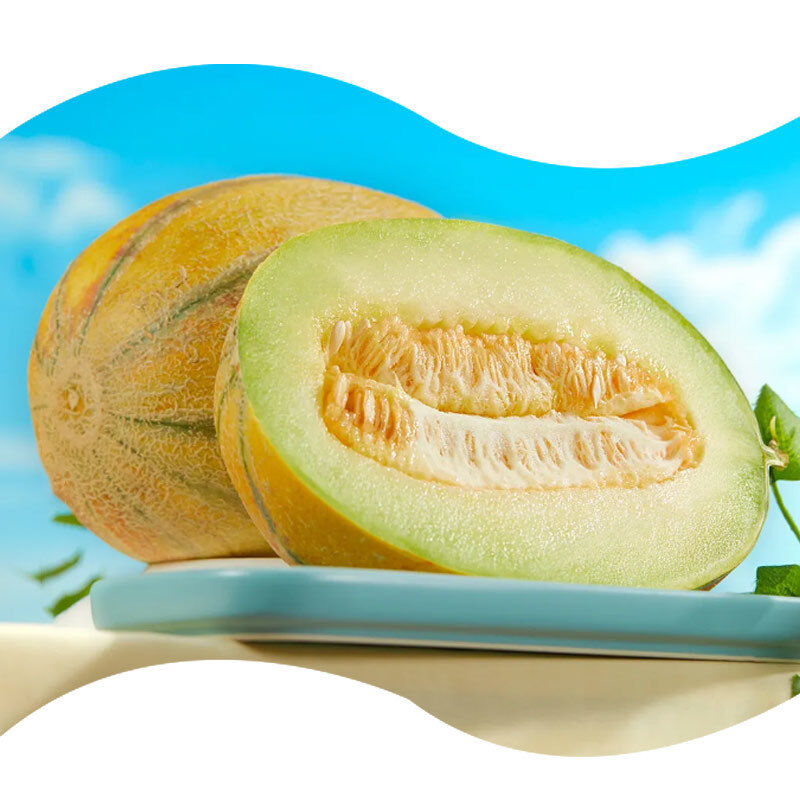 Superior Concentrated Natural Hami Melon Flavor for Melon Ice Cream Sorbet Frozen Yogurt Popsicle Dairy Free Sorbet and Rainbow Sherbet