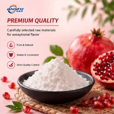 Premium Pomegranate Powder Flavor for Instant Drink Mix Fruit Powder Beverage and Smoothie Blend