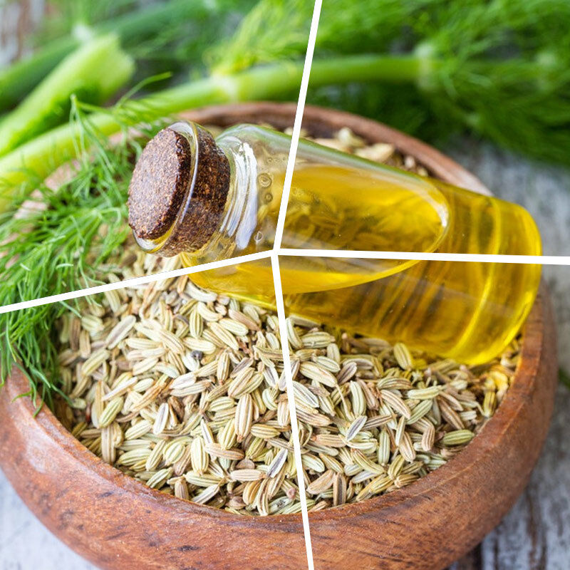 Premium Fennel Oil Flavor for Sausage Meatball Patty and Plant Based Meat Seasoning