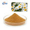 Pyrethrum Pure Plant Extract C43H56O8 CAS 8003-34-7 Multi Proportion