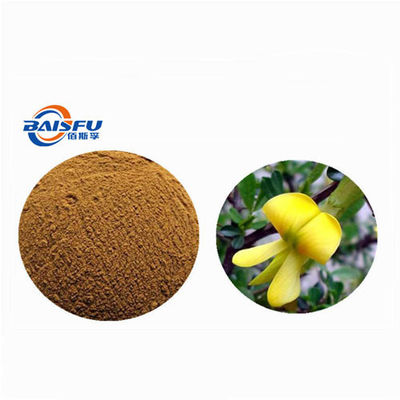 Supply GMP Factory Supply Spartium Junceum Extract Cytisine 98% Cytisine/Sparteine/Baptitoxine